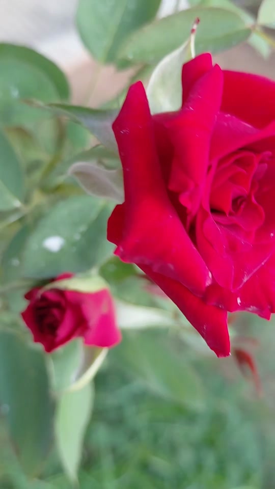 @htc8995