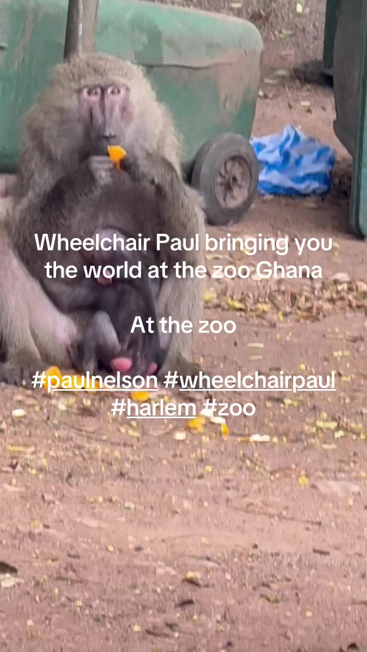 @Paul Nelson