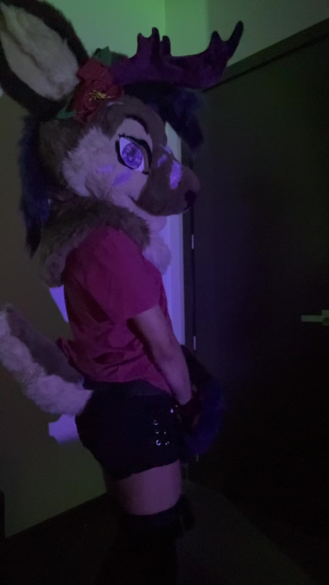 @Riley :3