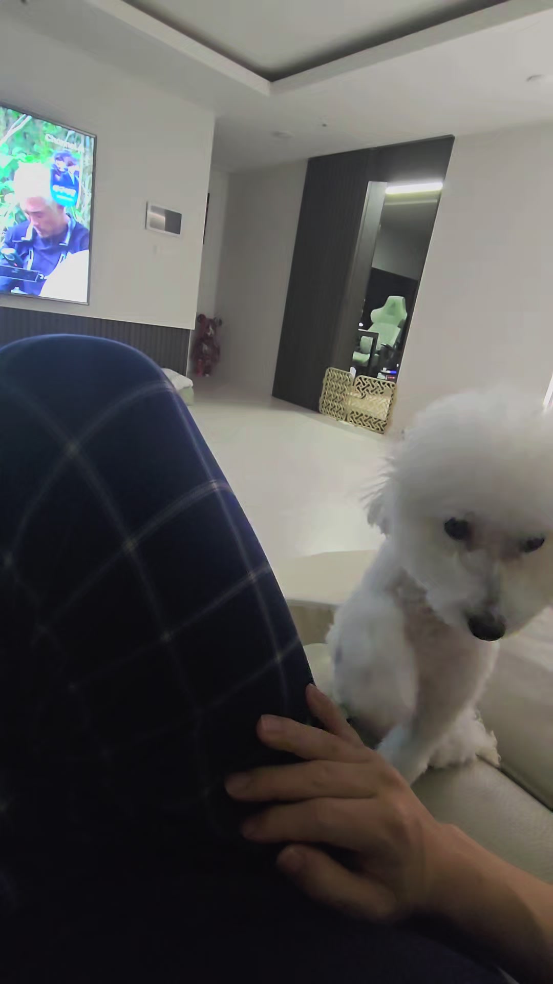 @코우
