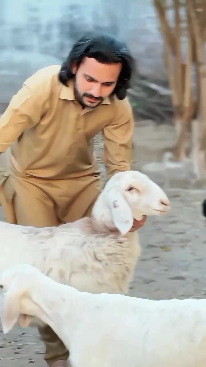 @آویز🚩