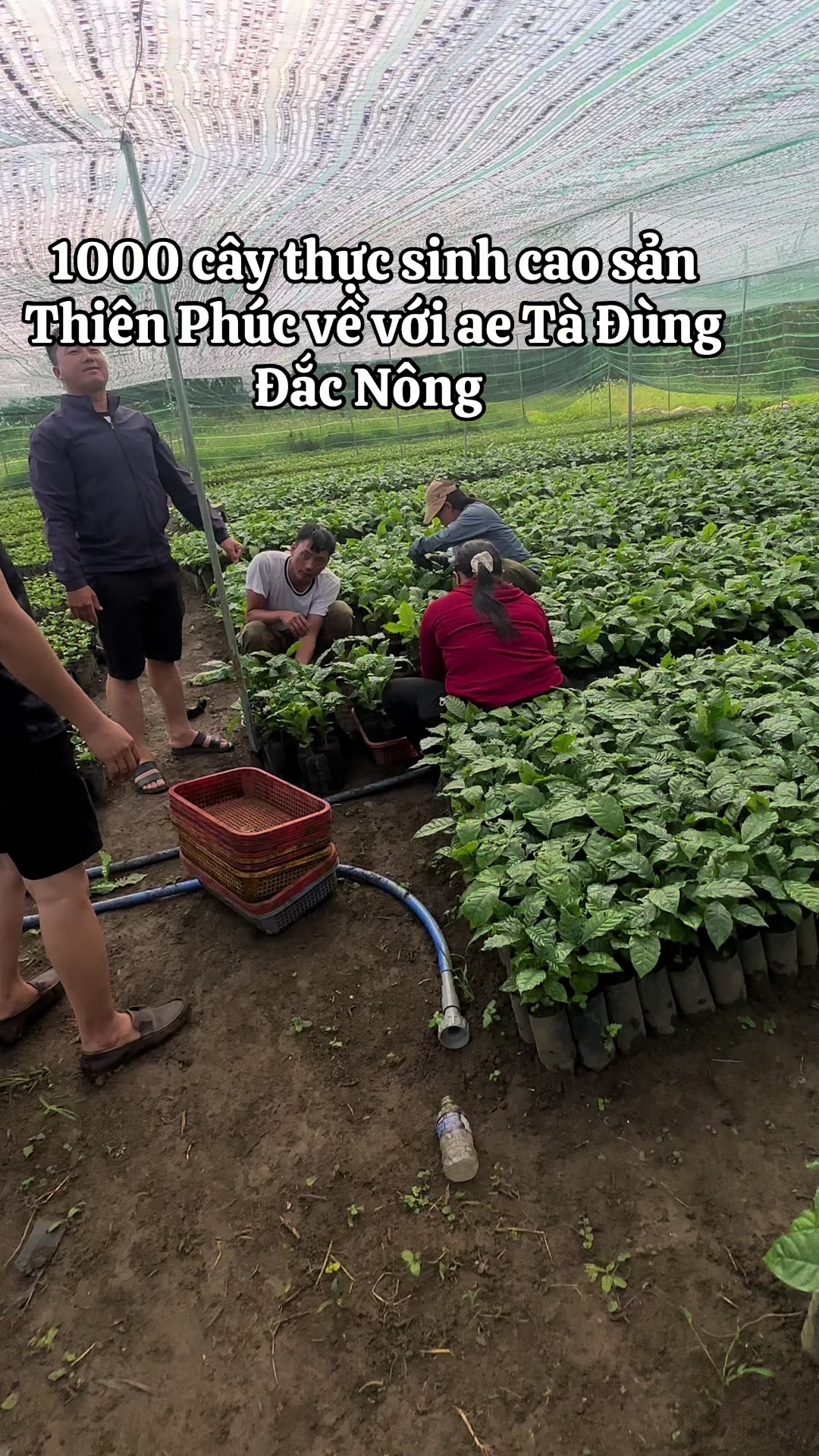 @Thành Bảo Lâm