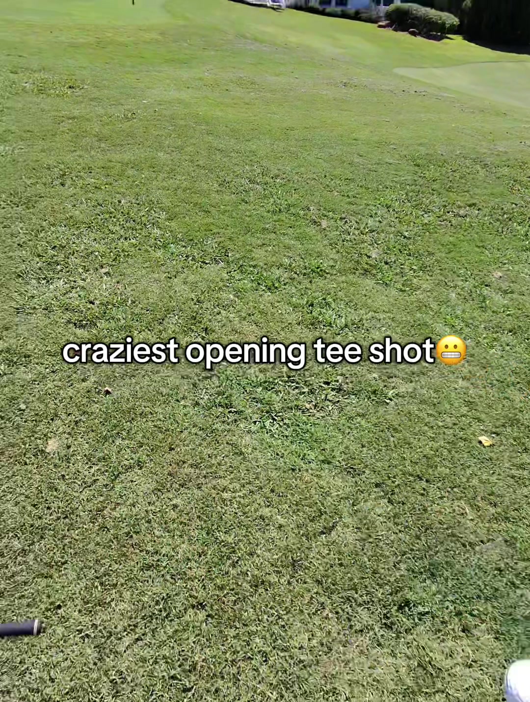 @colecuzzi.golfs