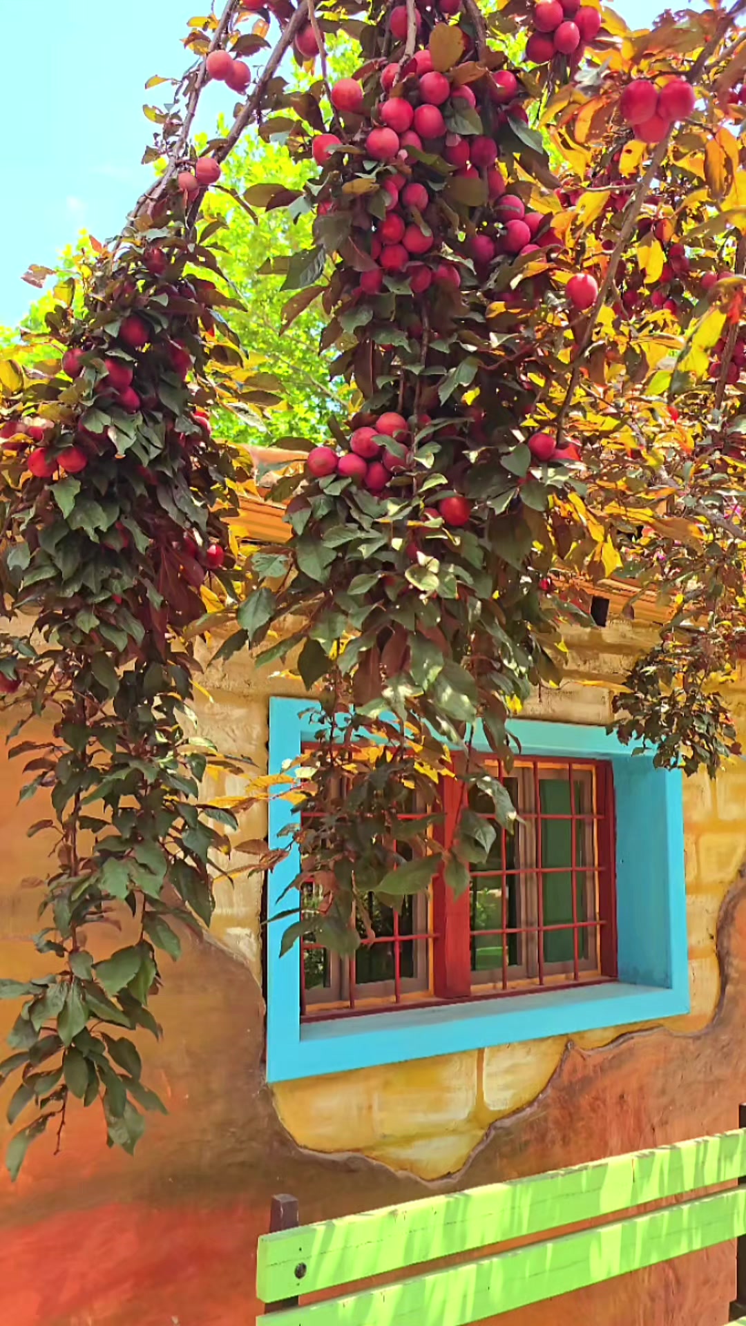 @Tural Zeynalov