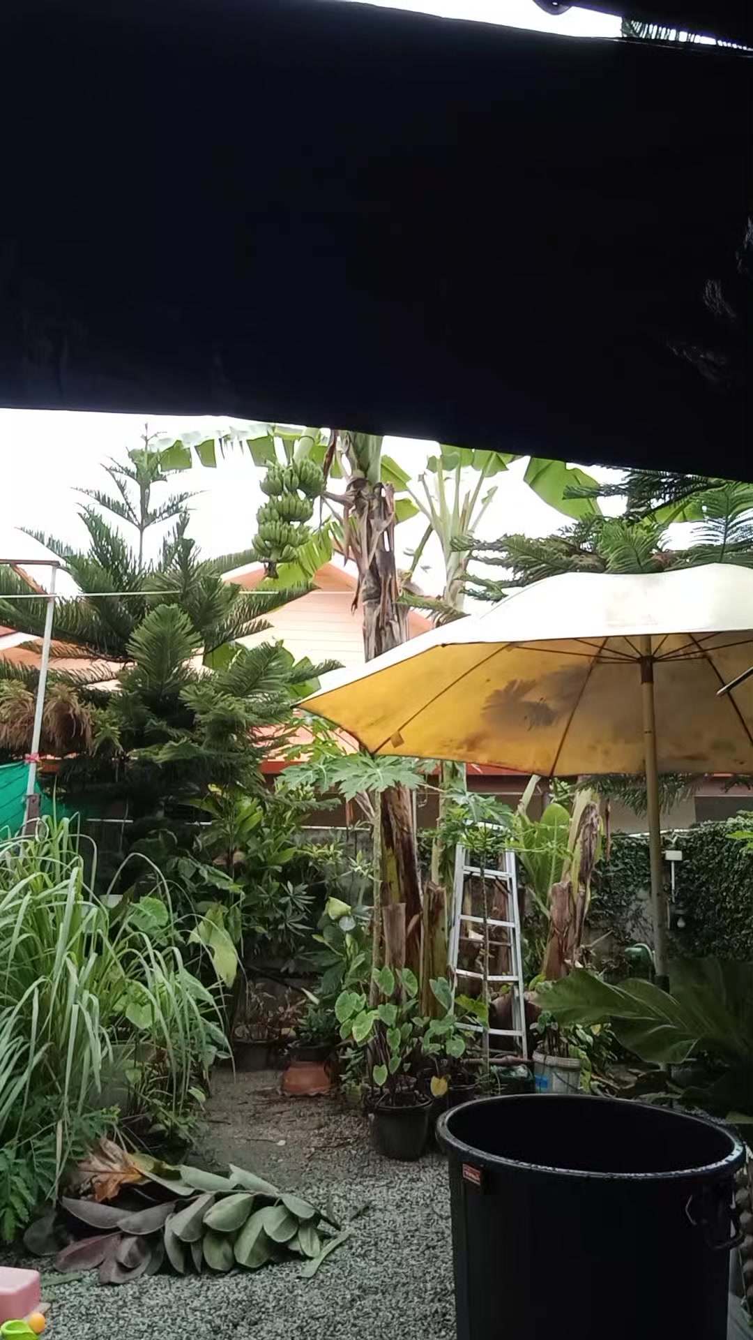 @happy planes Thai