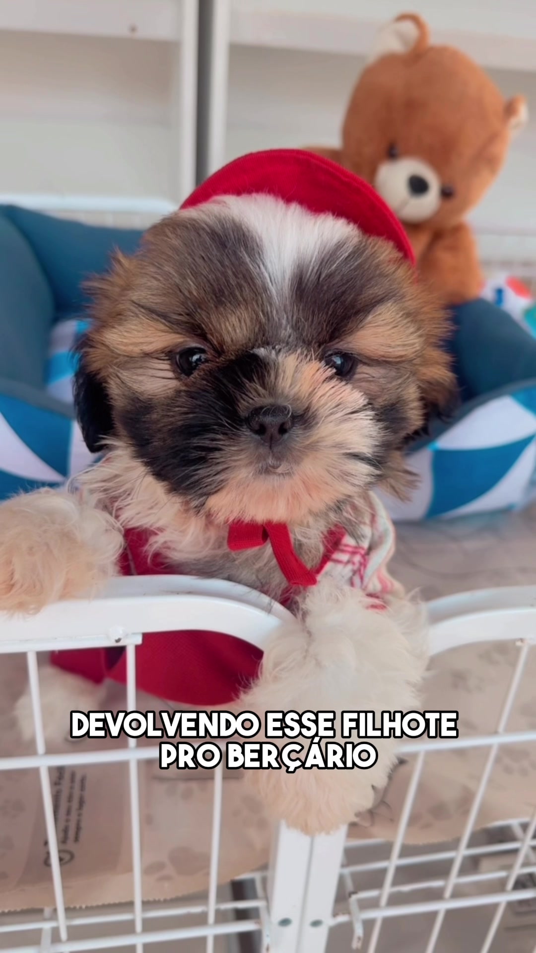 @Casa dos Ursinhos