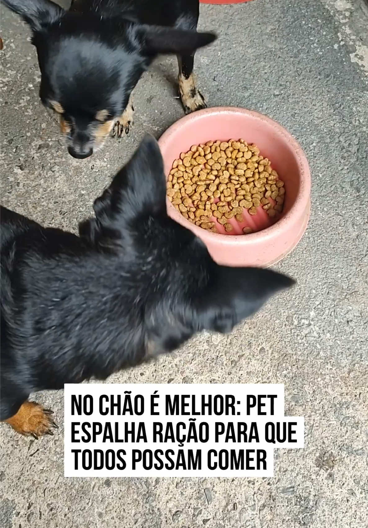 @Metrópoles Oficial