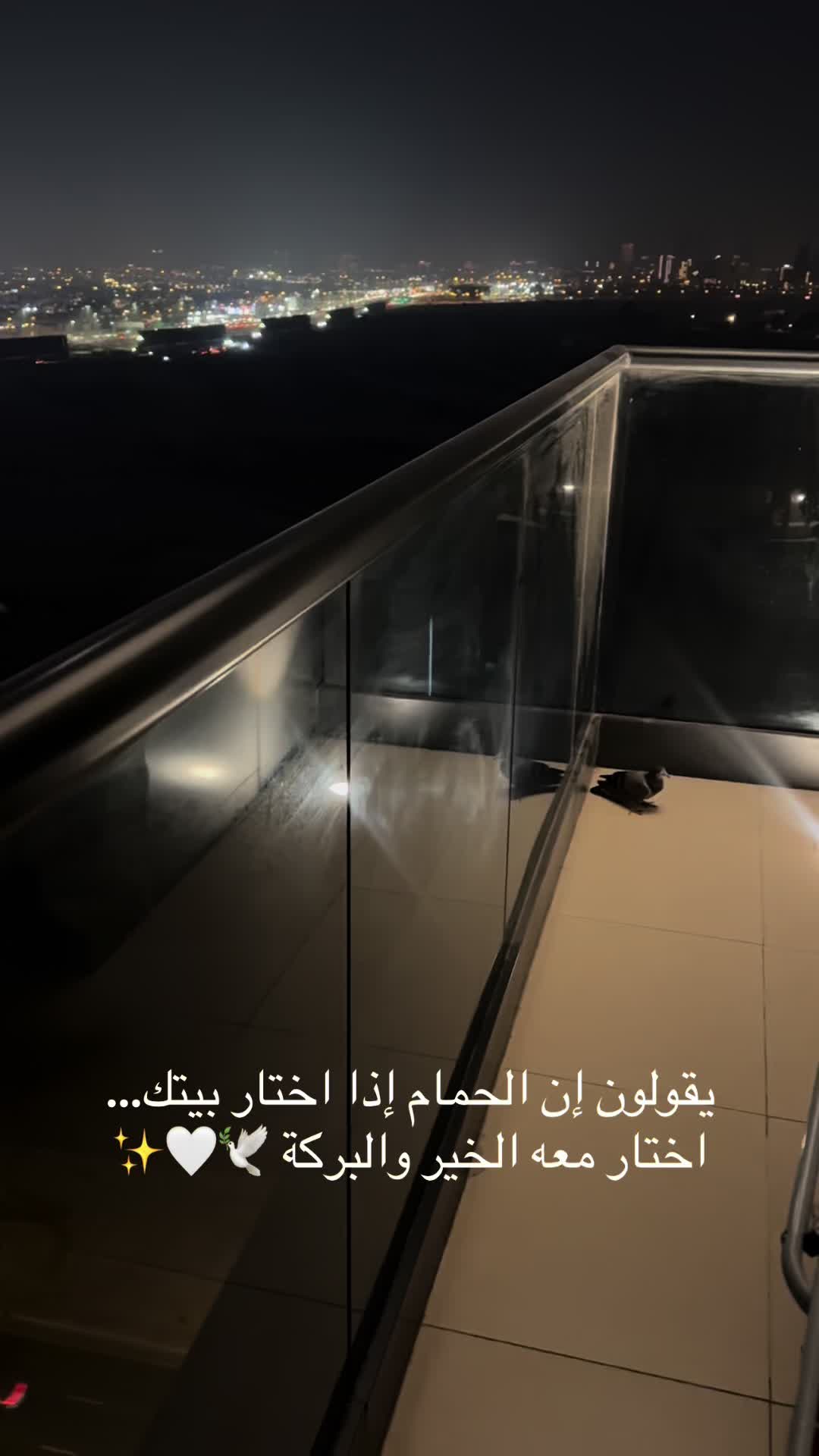 @Diana Haydar
