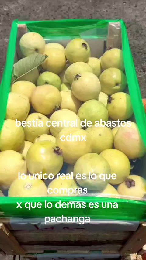 @Bestia central CDMX