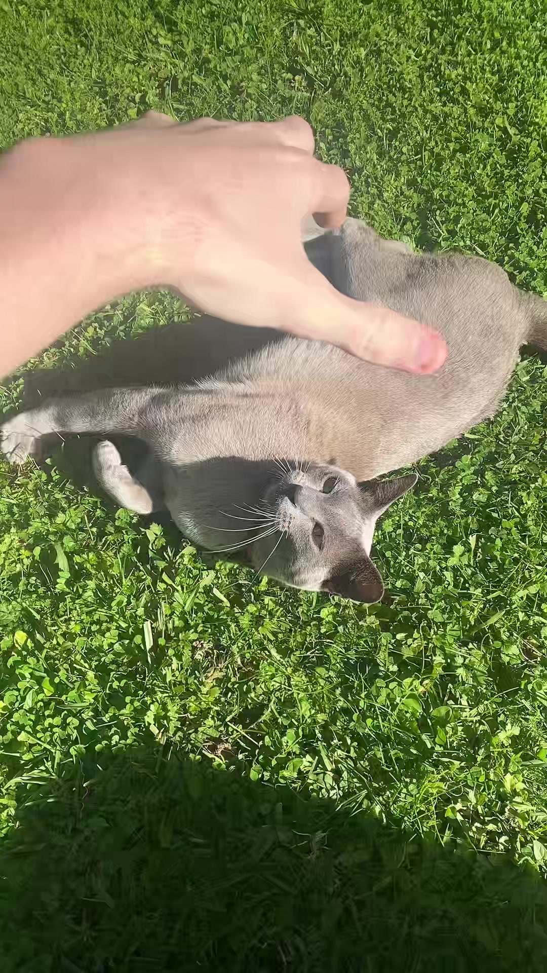 @imfullmontys🇳🇿