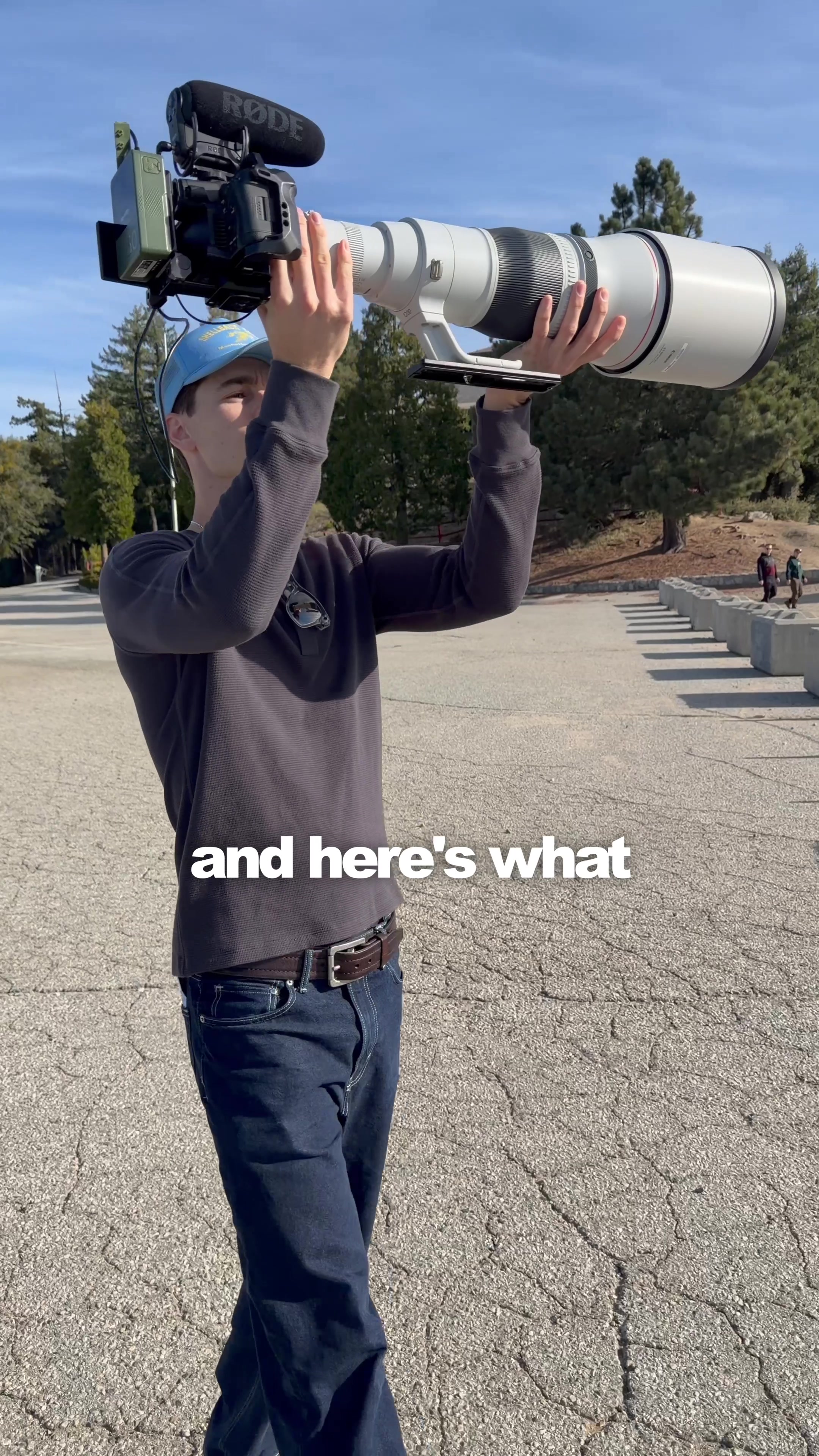@SetWillFree
