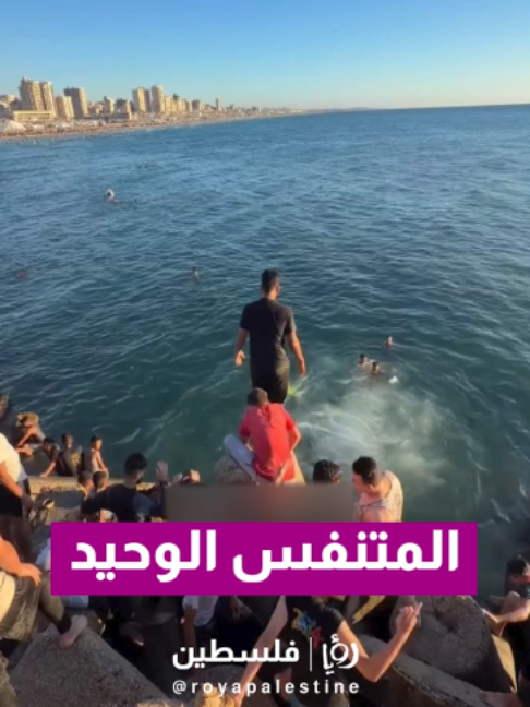 @Royapalestine رؤيا فلسطين