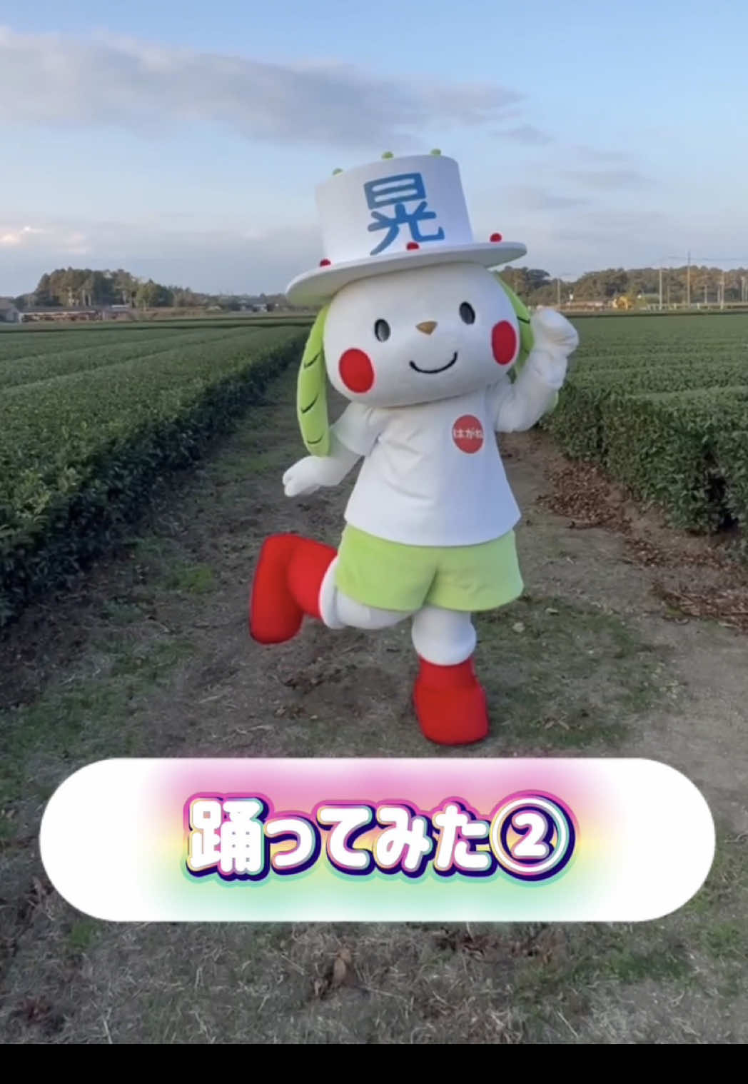 @お茶わんこはがねちゃん 堀口製茶PRキャラ