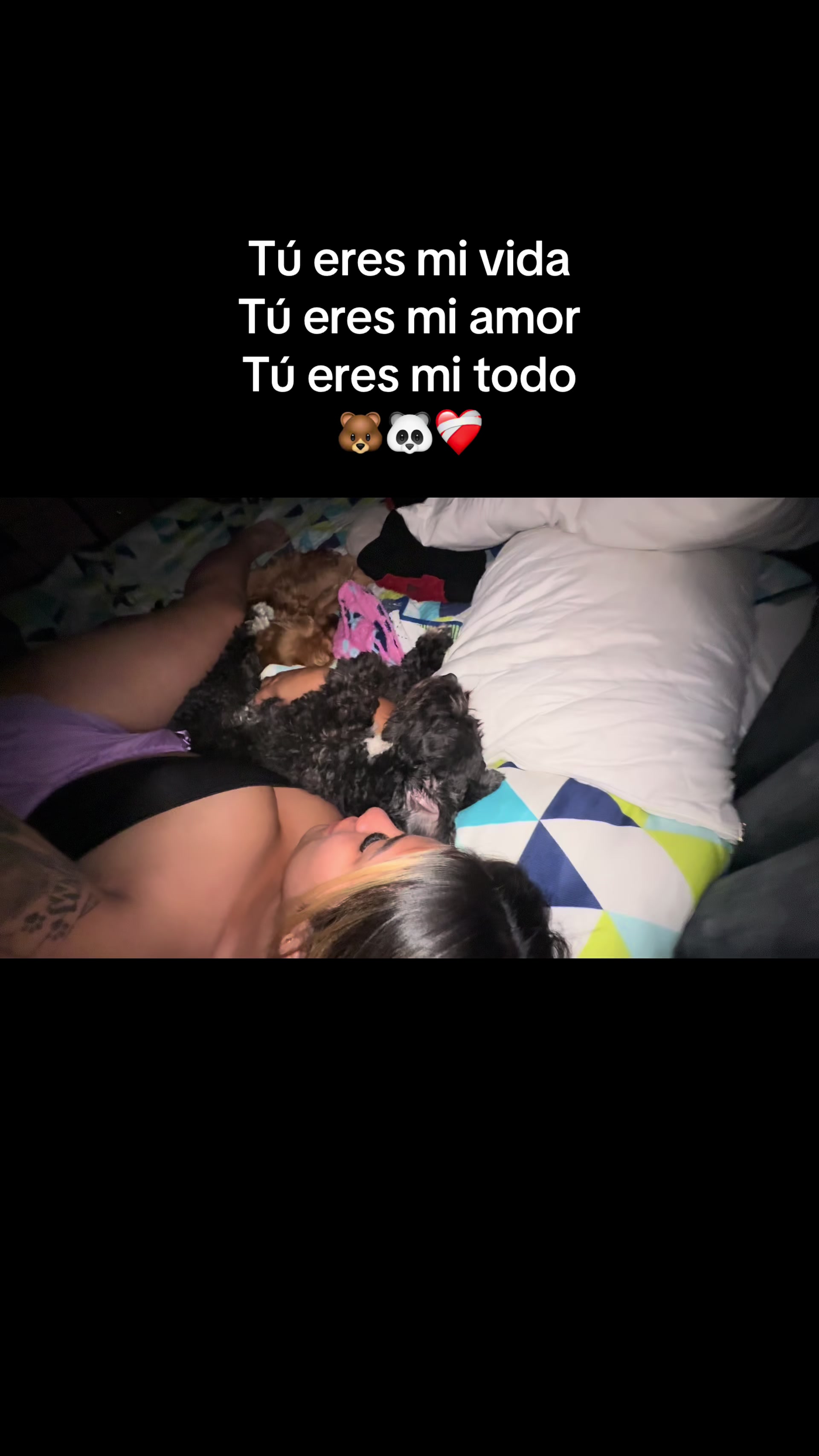 @🐼