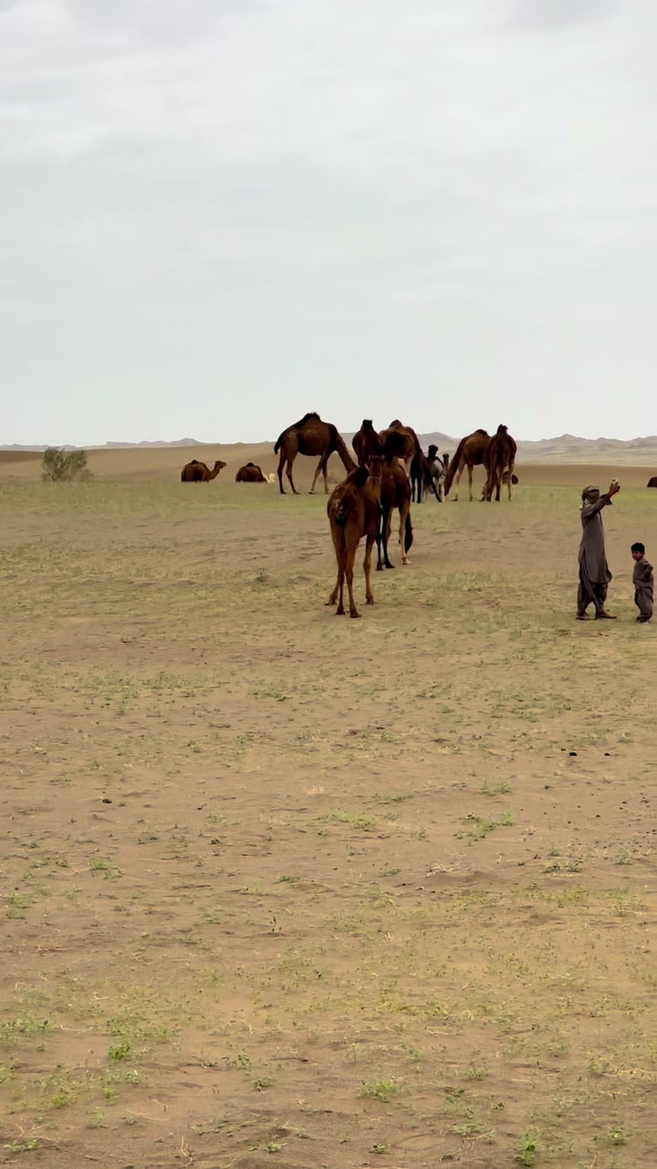 @بلوچستان عشق است 🐪🏜️🪶
