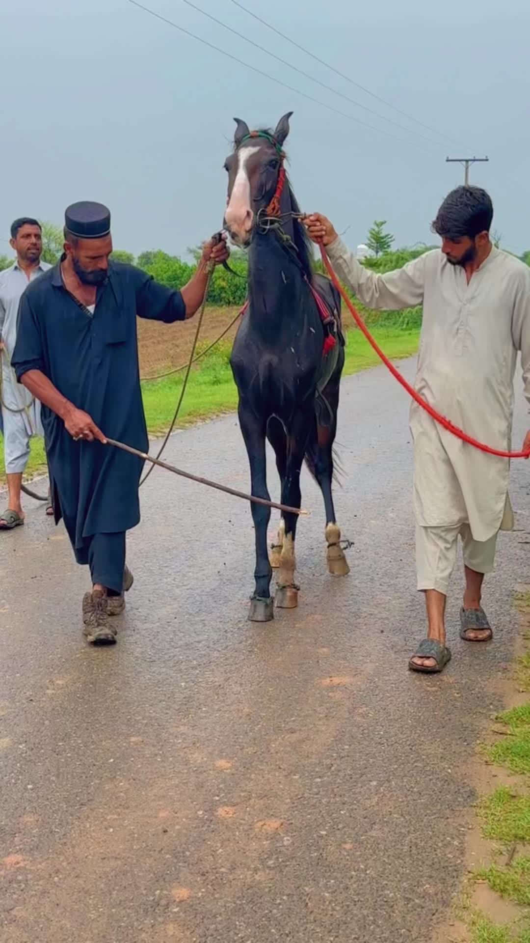 @راجہ علی عباس ڈھوک راجگان