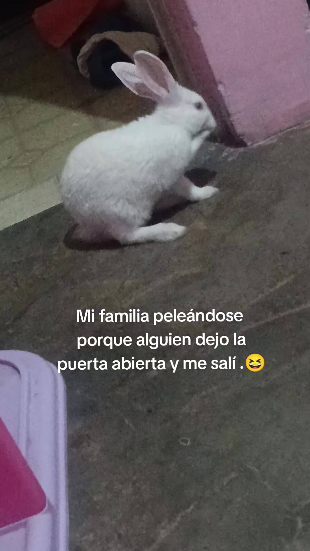 @Gaby cereceres &hearts;️
