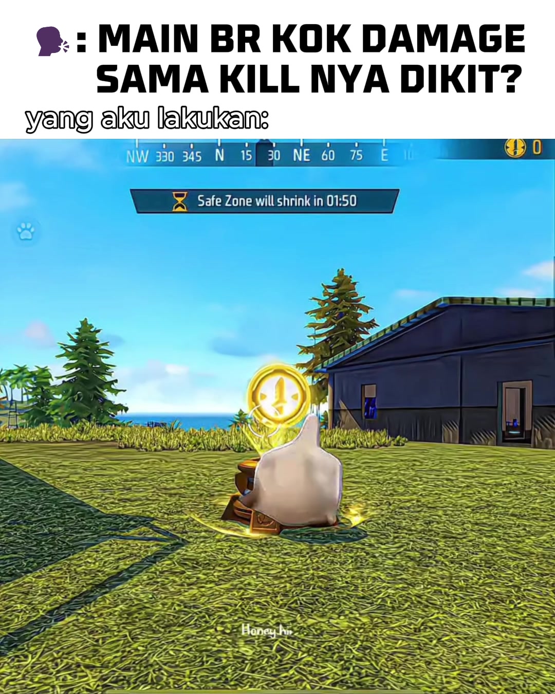 @Garena Free Fire ID