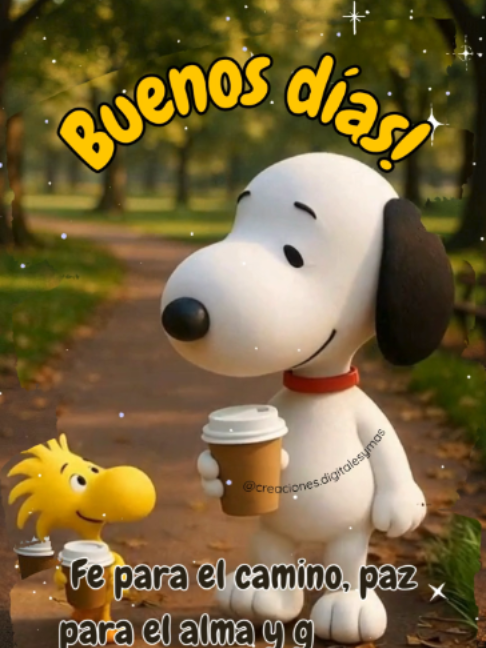 @adachajon.gt