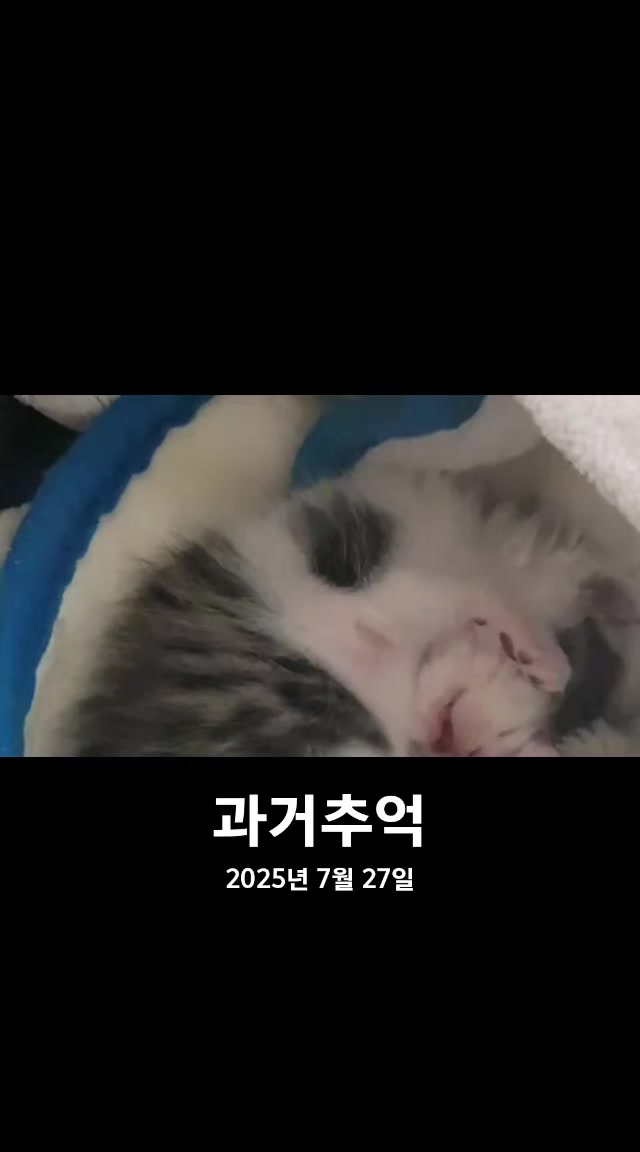 @๐ฉต๋ฅ๋ฅ์ดํ์ฐ์ค 14๋ฅ2๋ฉ๐