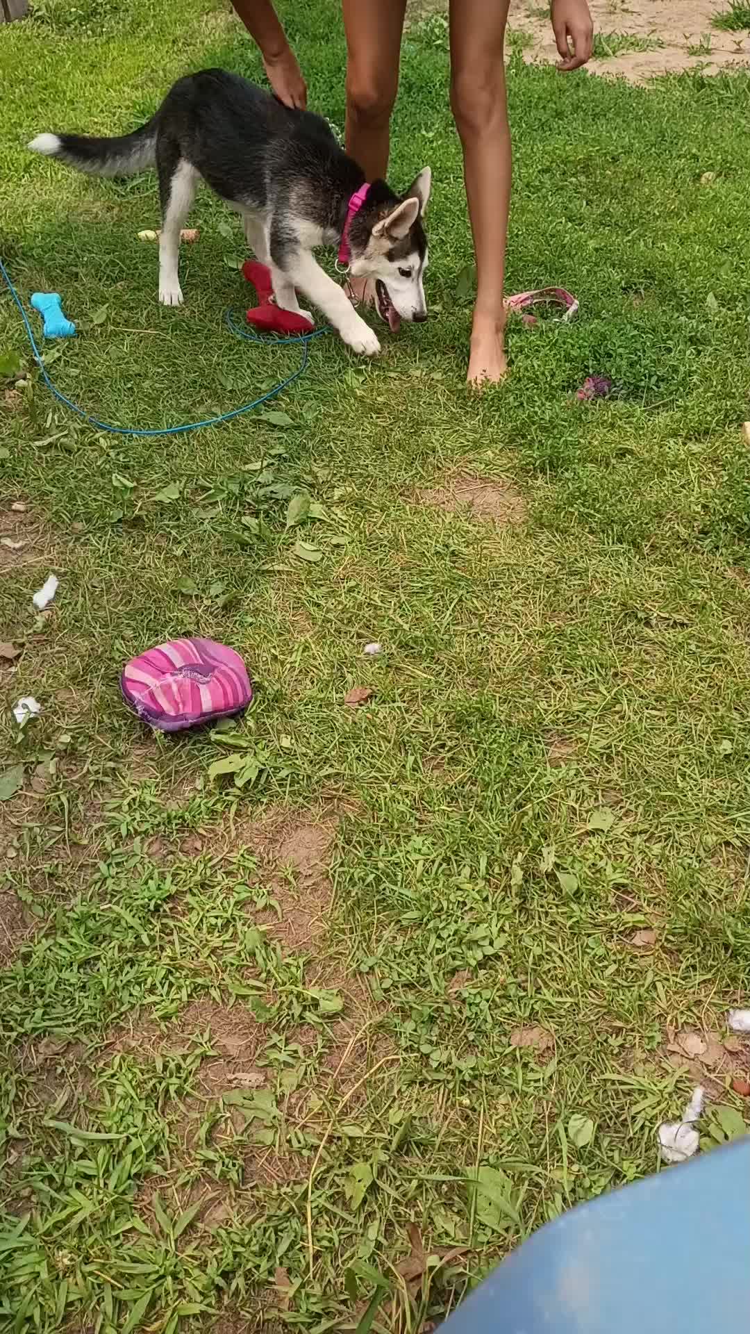 @Lilith Fox 🦊🤍👭