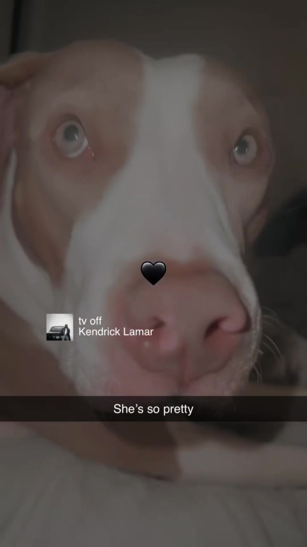 @Kingofsmoke42O