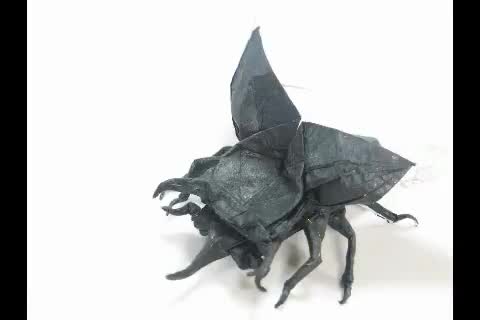 @Origami Guatemala