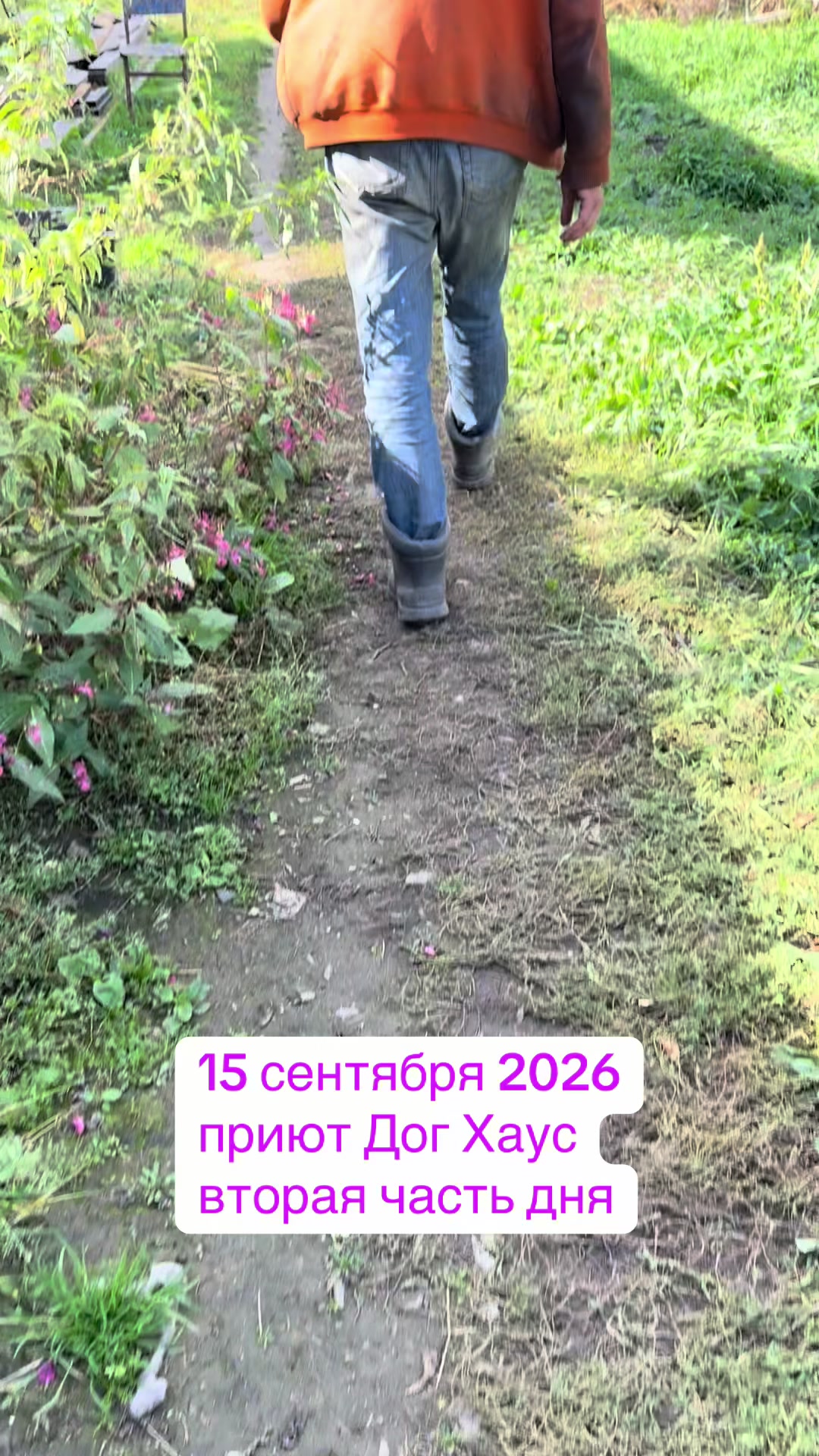 @dog_house_ozersk