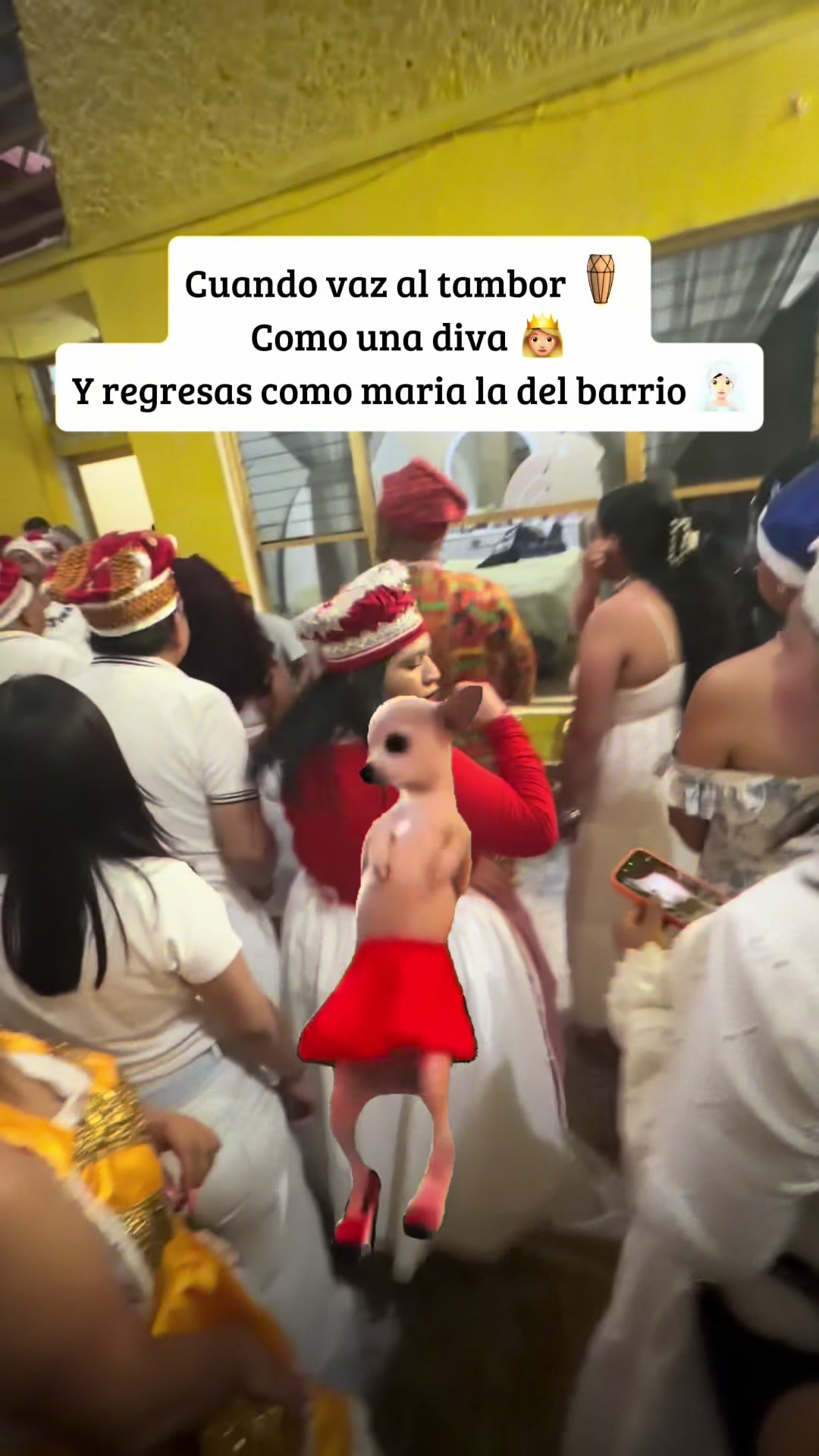 @sandyeleguacita