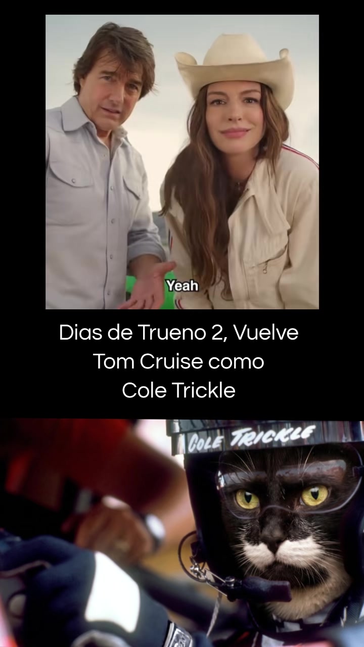 @Gato Cinéfilo Oficial