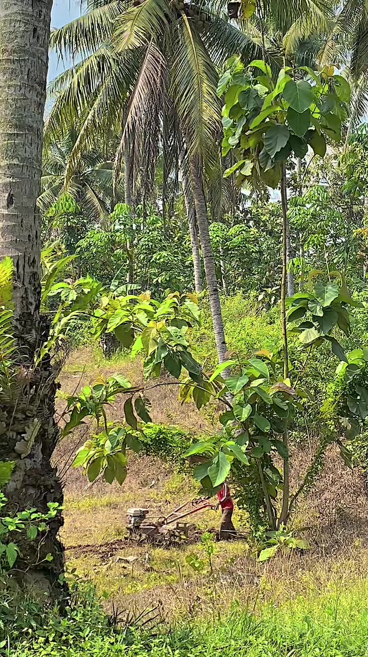 @Biasa aja