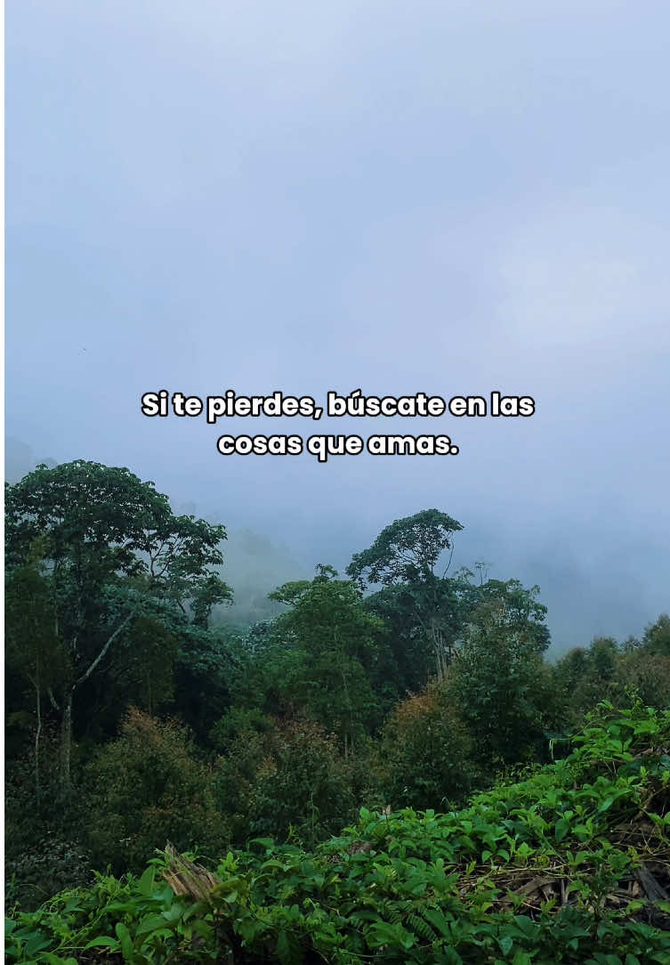 @origen la linea
