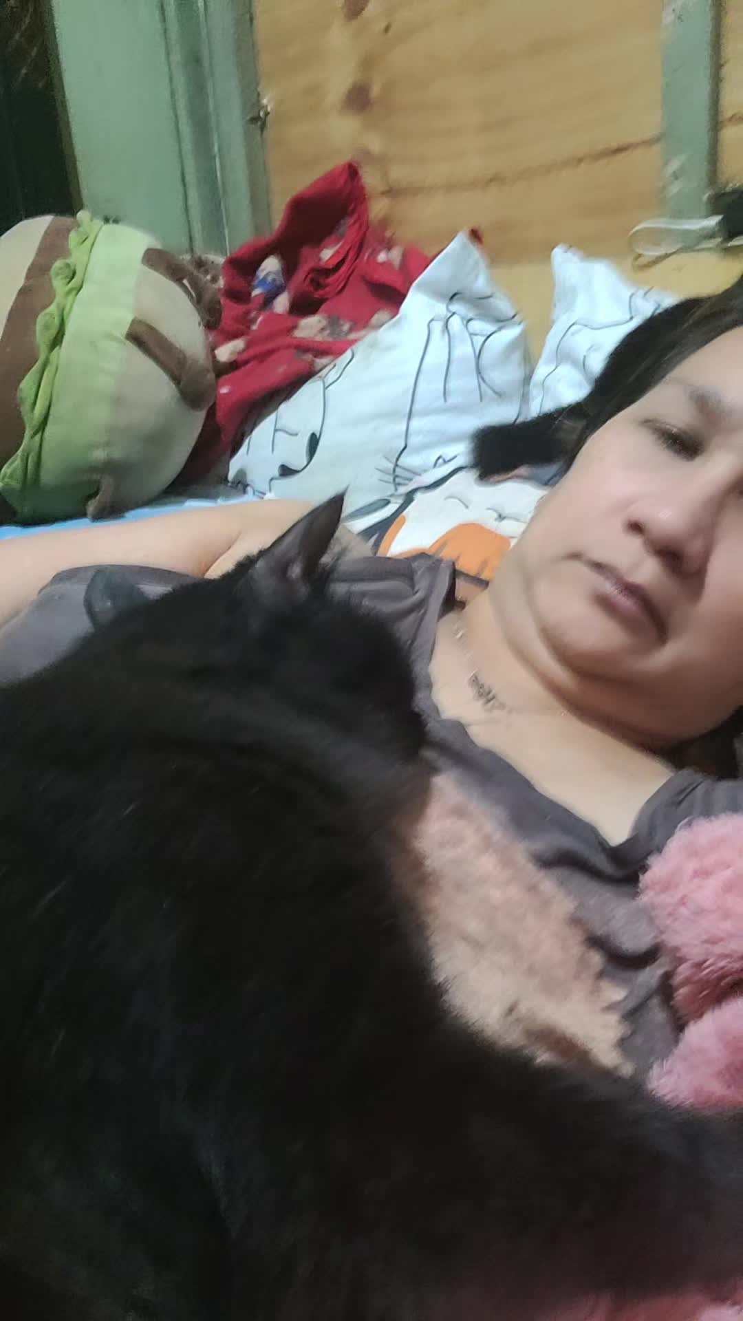 @CrazyCatMe