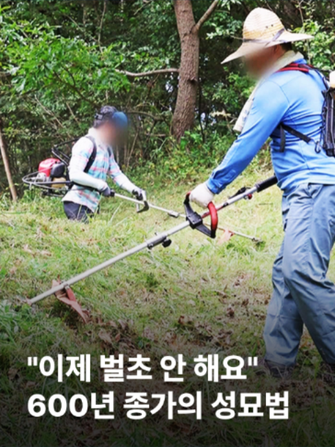 @JTBC News