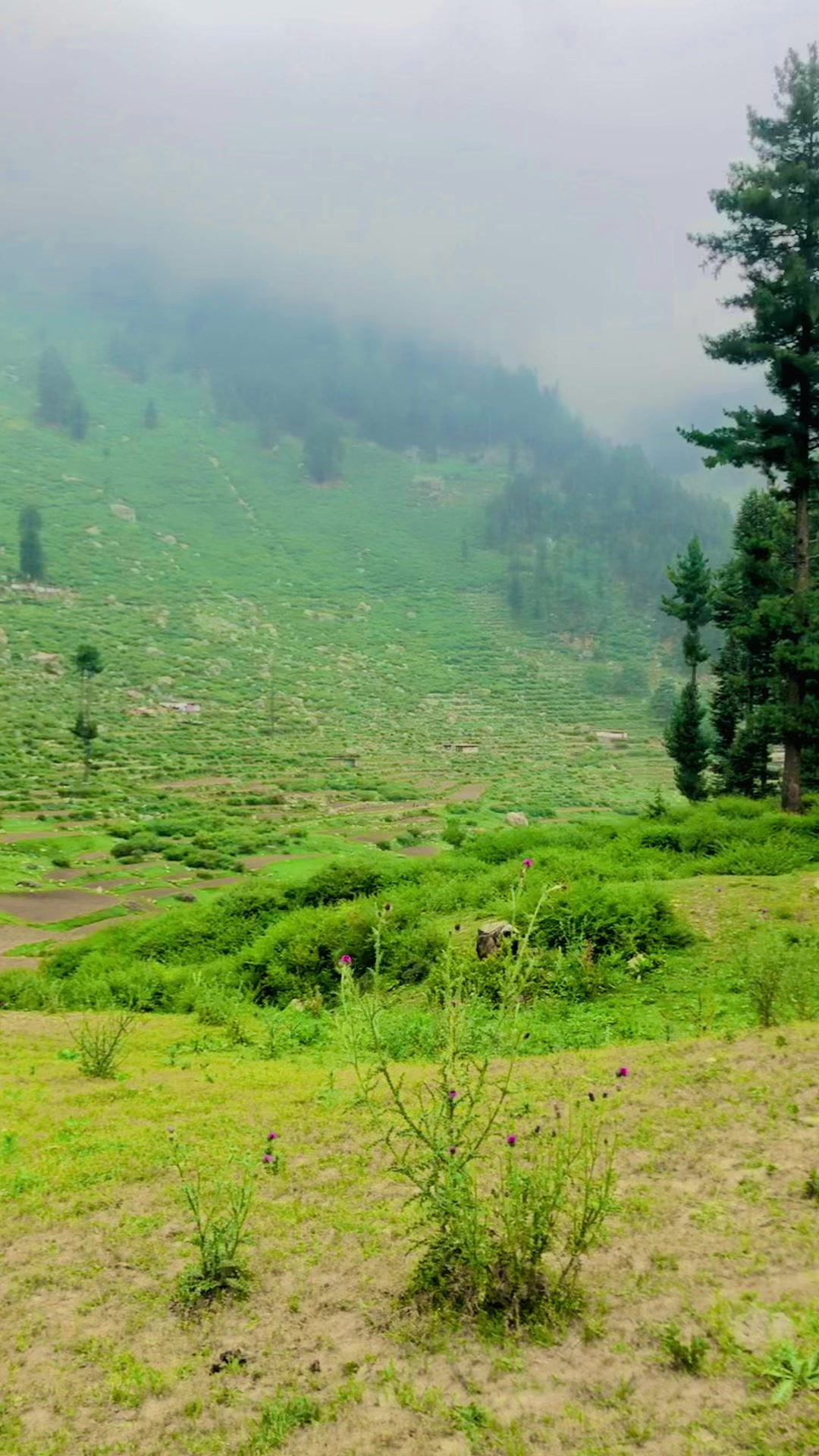 @📸Mr👀karimi🎵Balakot❤️