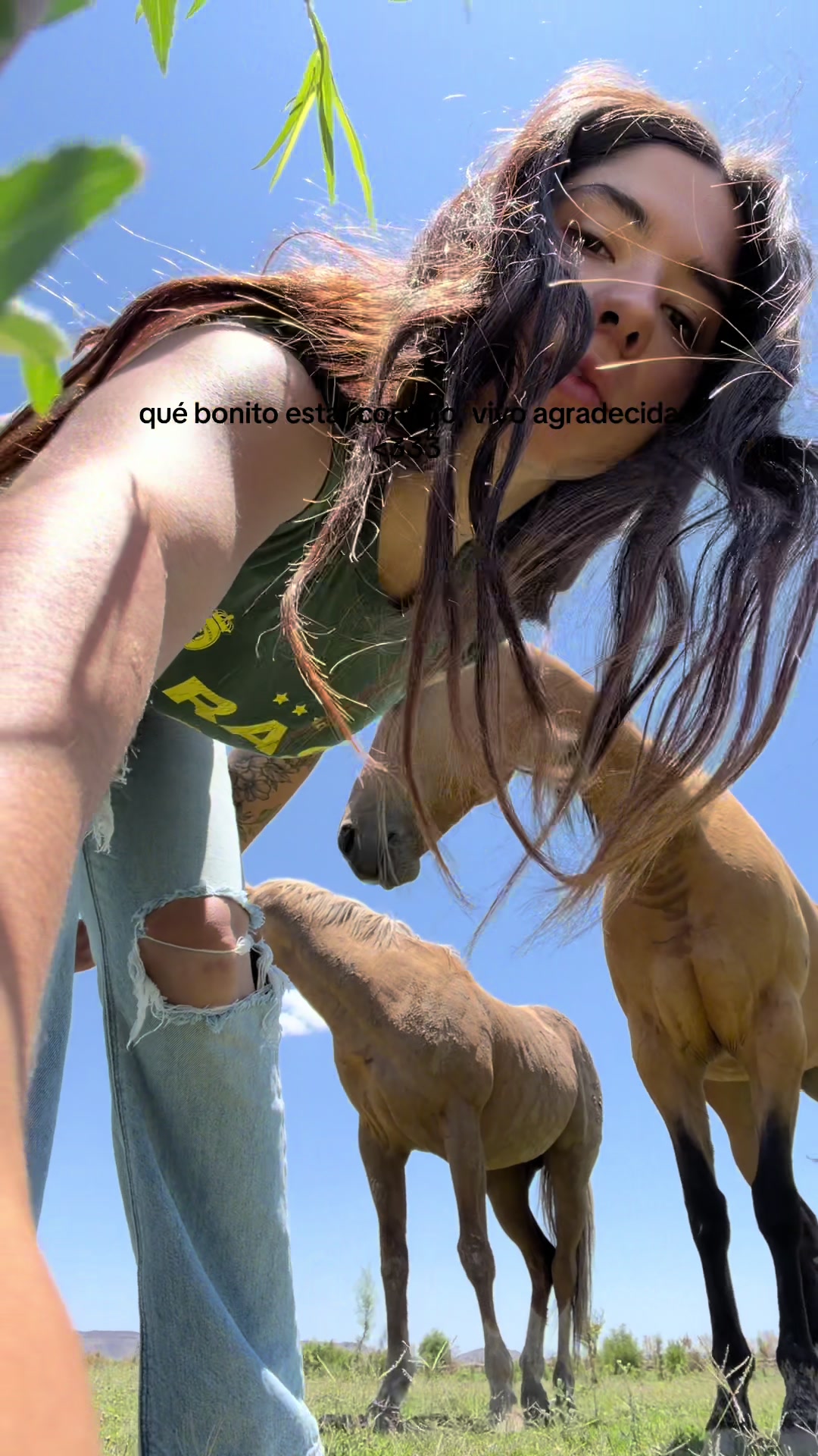 @Allison Gil