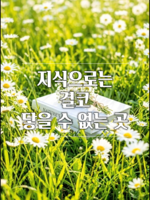 @빛의 씨앗