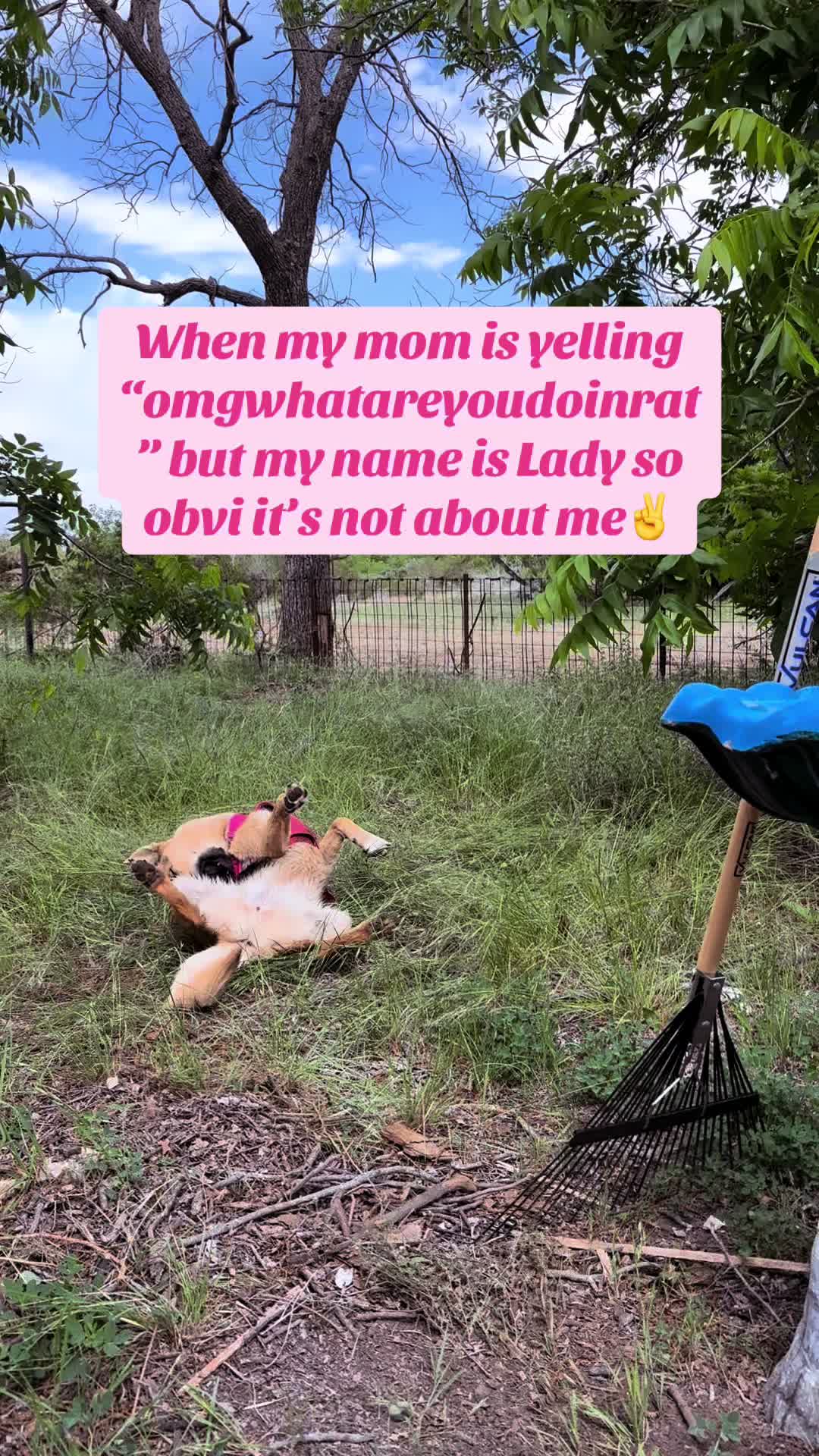 @Shelby Lynn