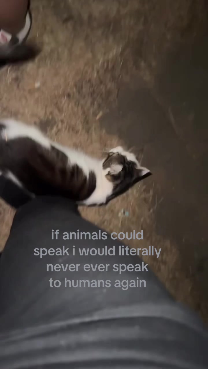 @ 