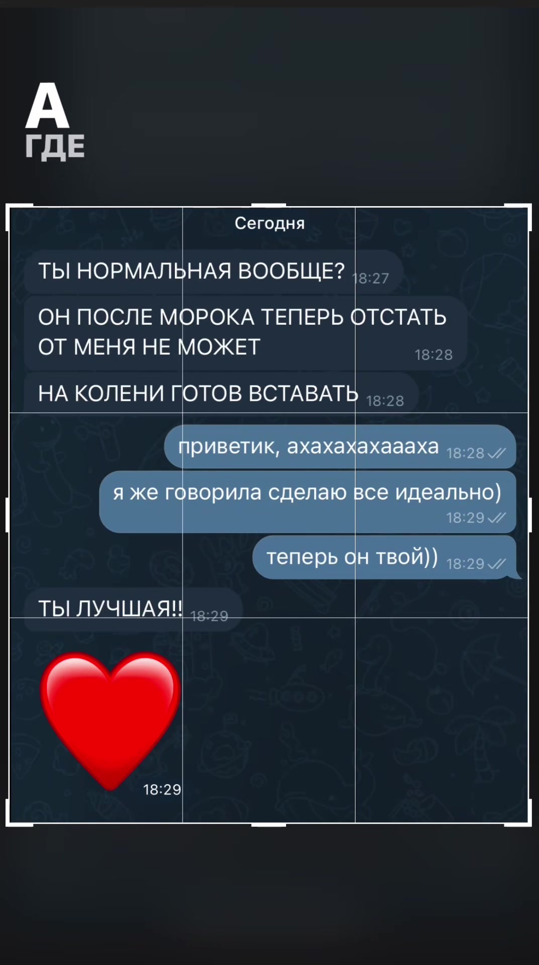 @taro.prorok