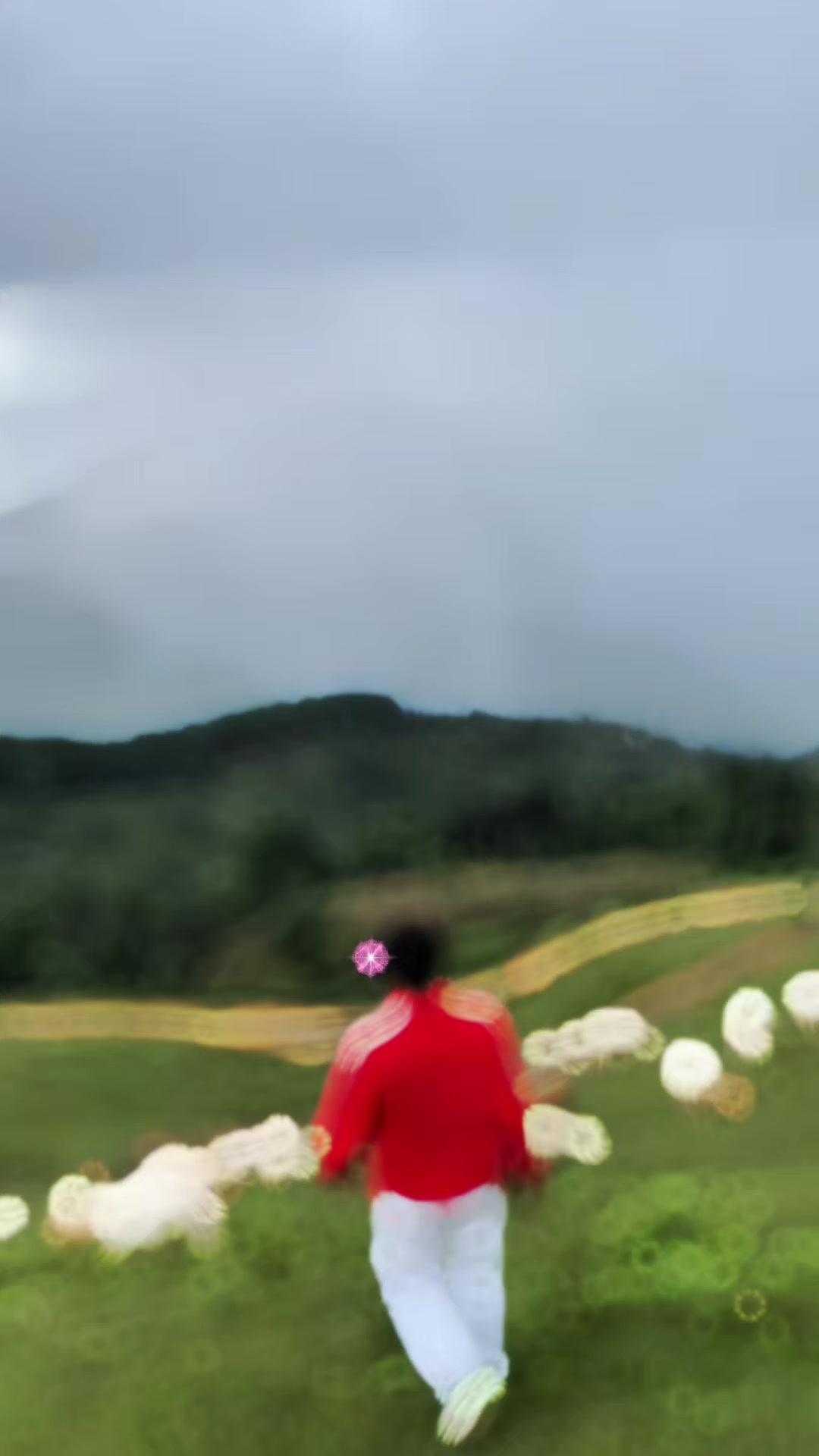 @C I D