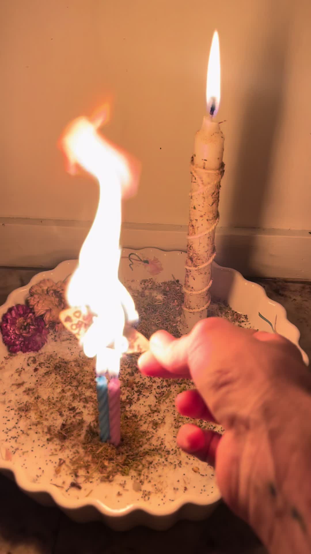 @Rose Moon Magick🕷️🪷