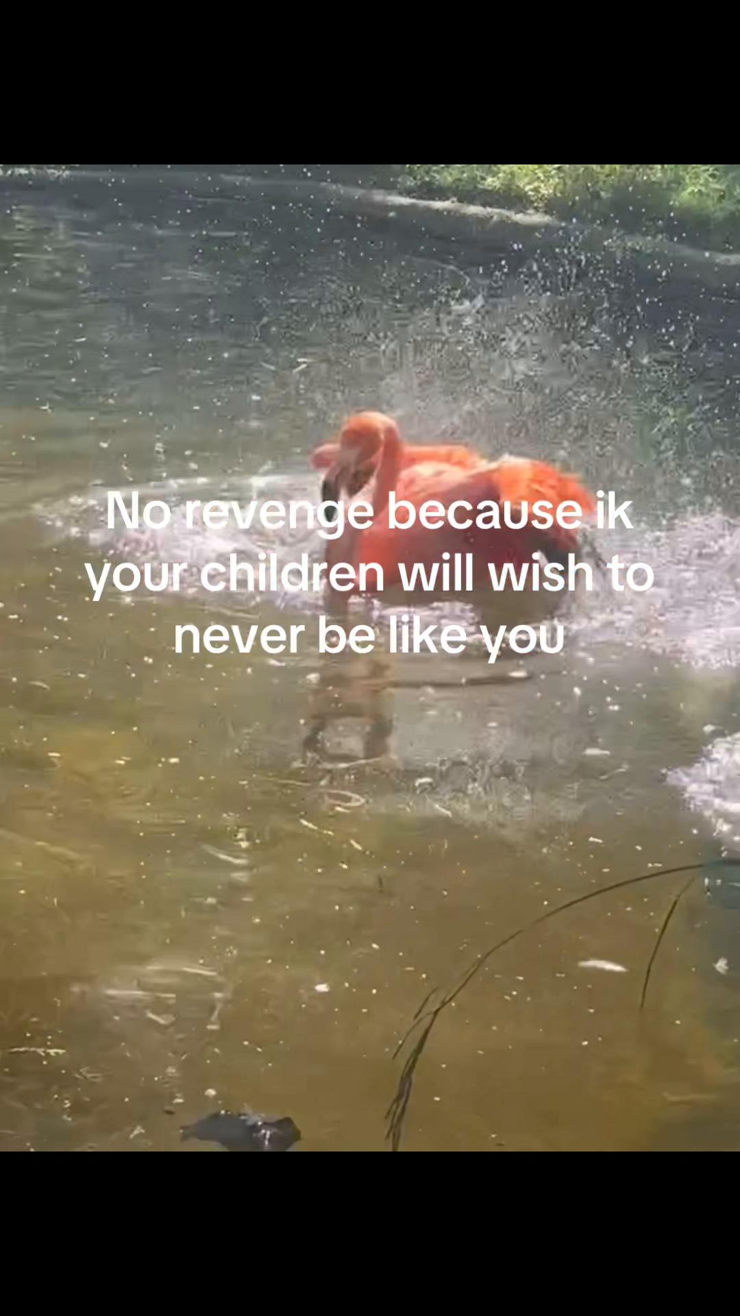 @Emily