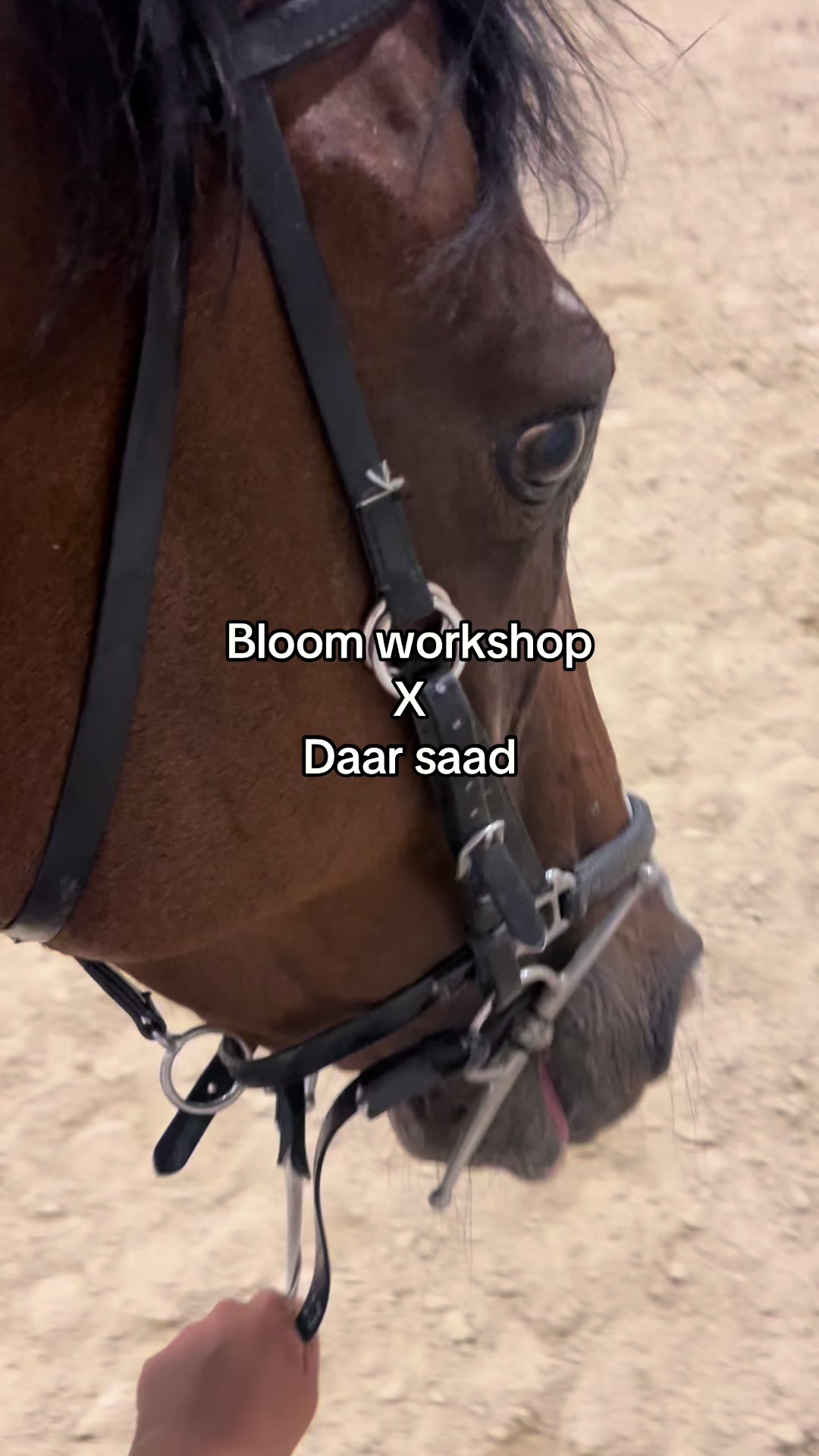 @Bloom workshop ๐ช