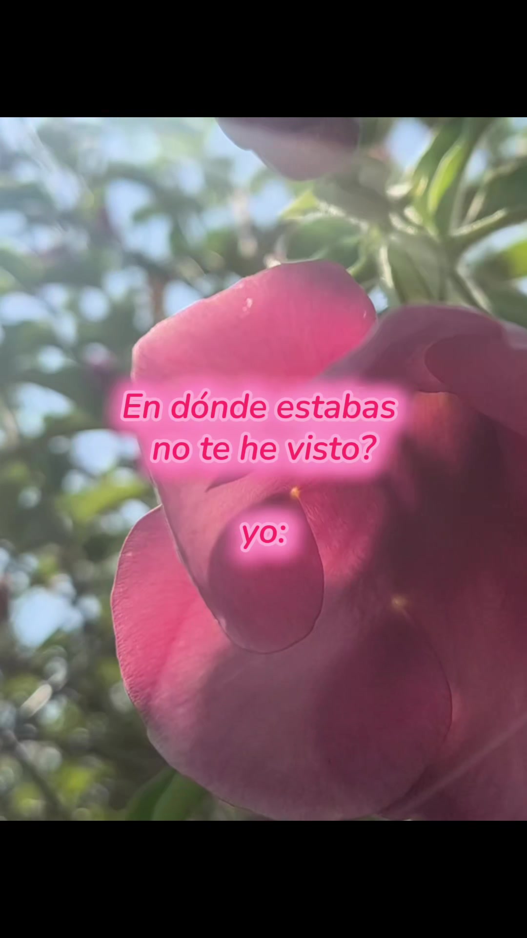 @Fatimiux