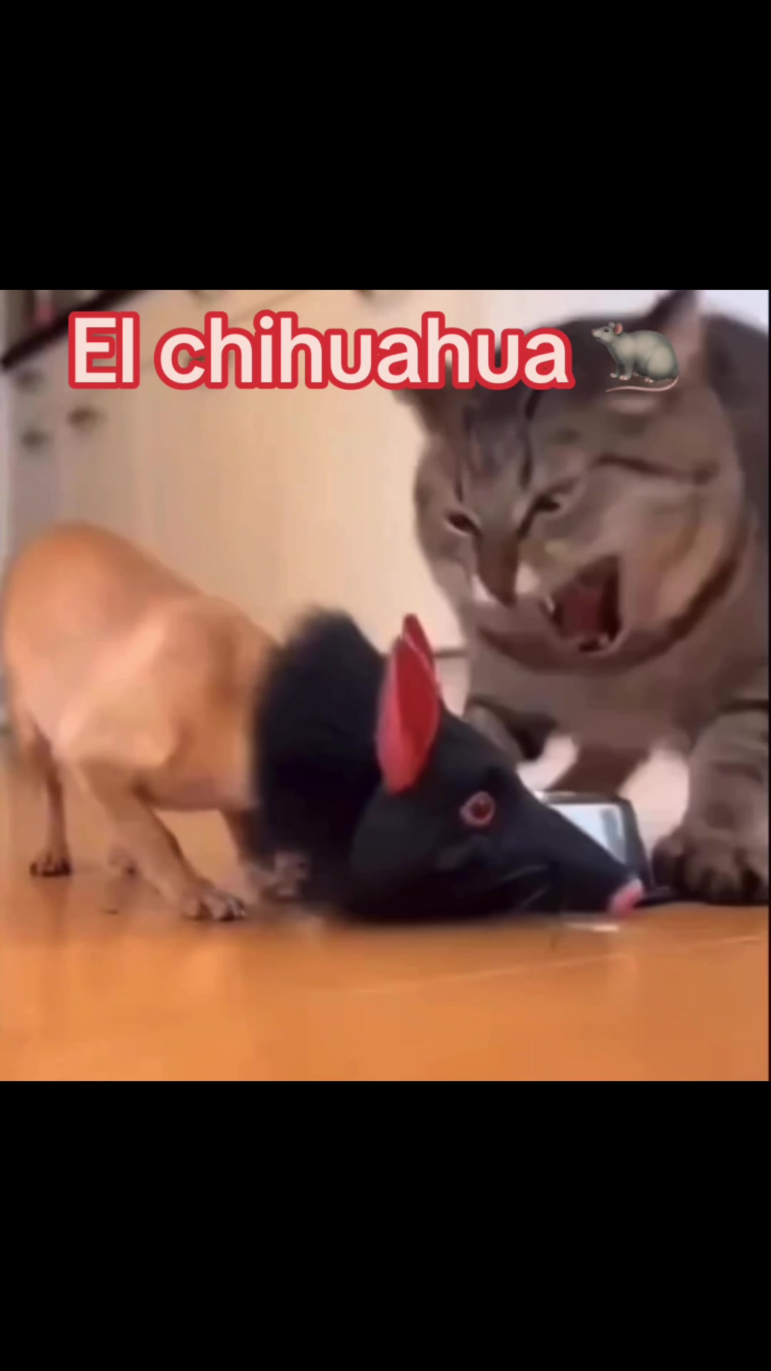 @Carlos el del A/C