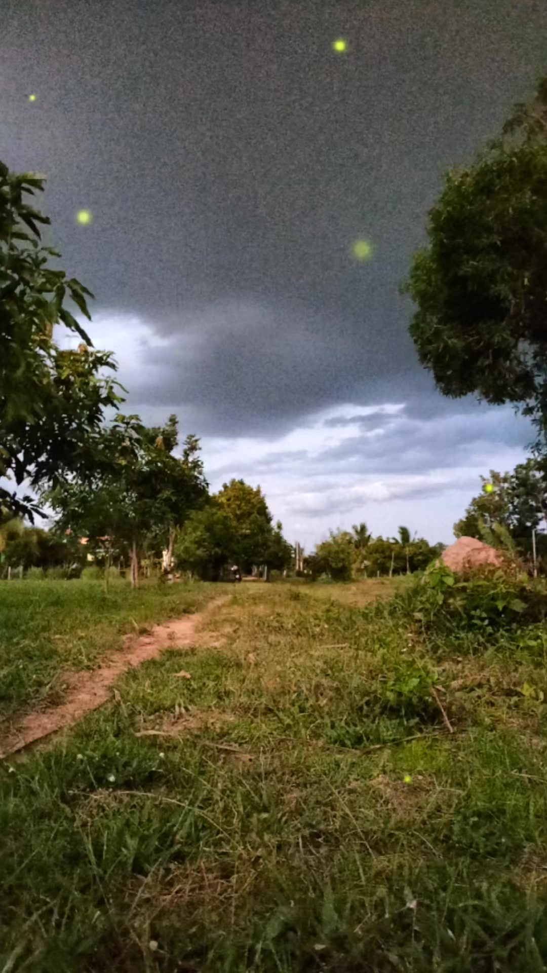 @Surasak Wongnet