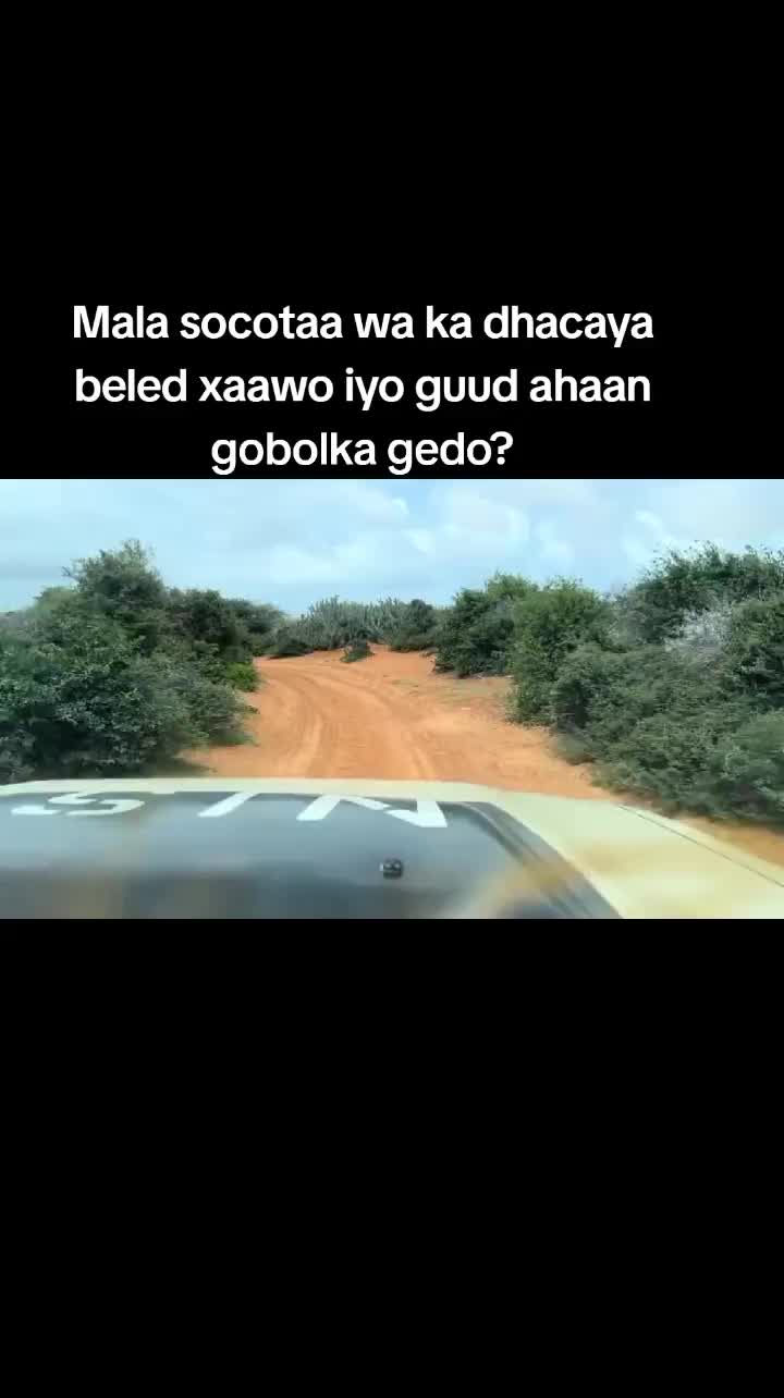 @Xamar🇸🇴