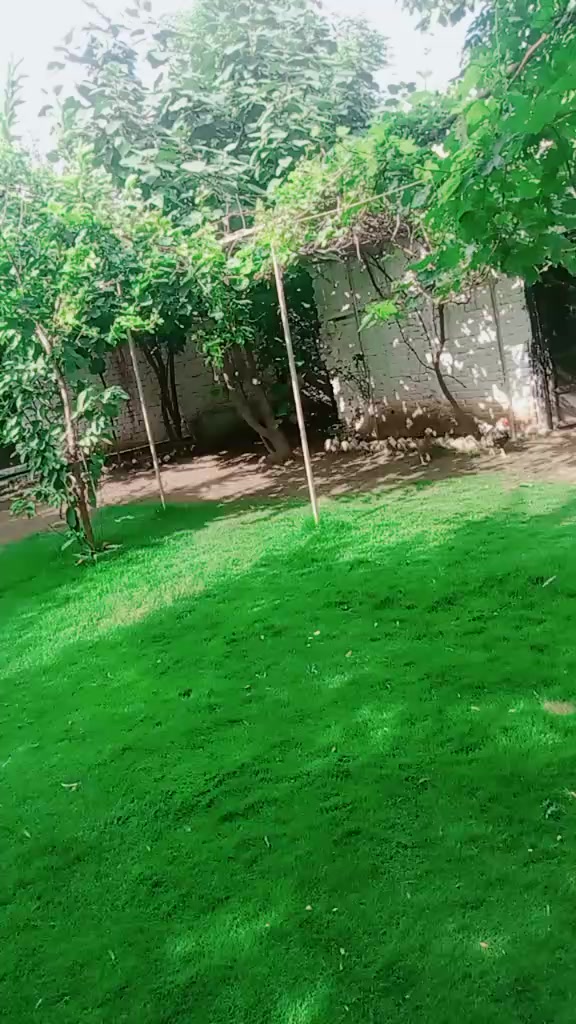 @Sunil khan