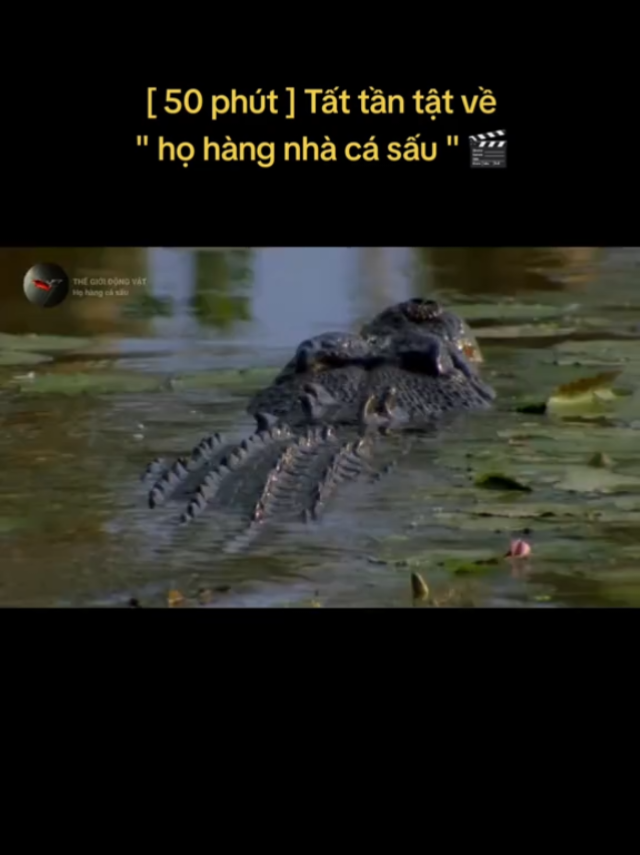 @🌏 BATMAN